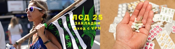 дживик Новозыбков