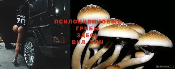 трава Алзамай