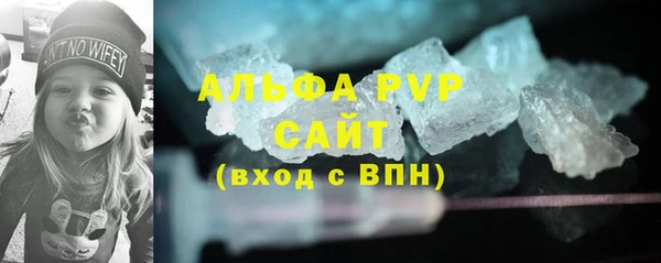 дживик Новозыбков