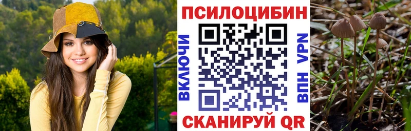 ОМГ ОМГ как войти  Йошкар-Ола  Галлюциногенные грибы мухоморы  наркошоп 