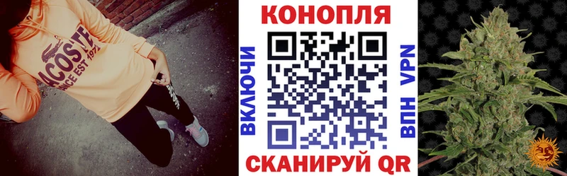 Каннабис гибрид  Йошкар-Ола 